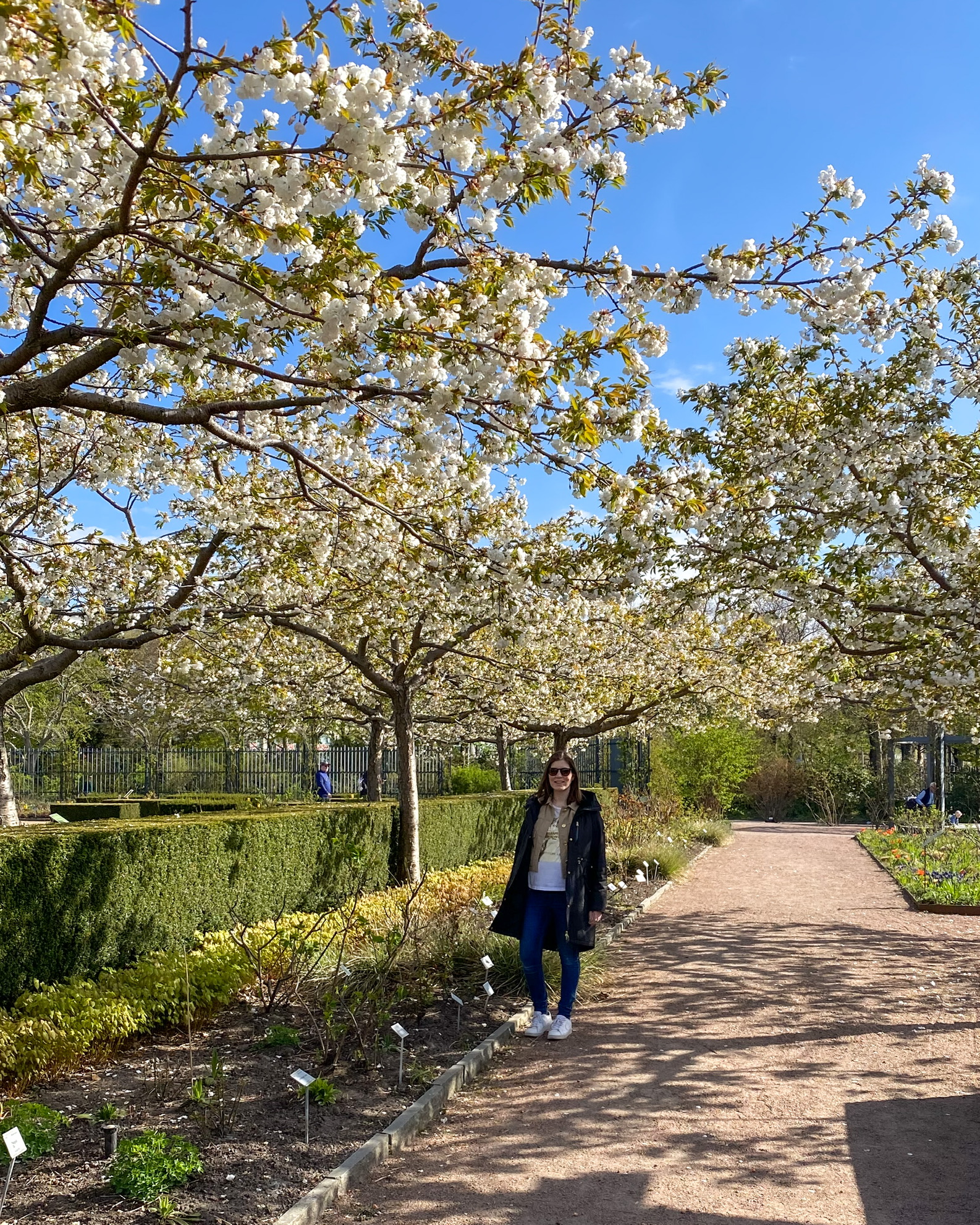 Guide til Gøteborg – oplevelser, hotel og spisesteder